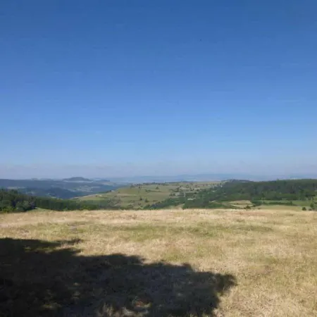 Casa vacanze Ancienne Ferme Du Couderc A Freycenet-la-tour, 2 Chambres, Terrasse, Jardin, Parking Inclus - Fr-1-582-277
